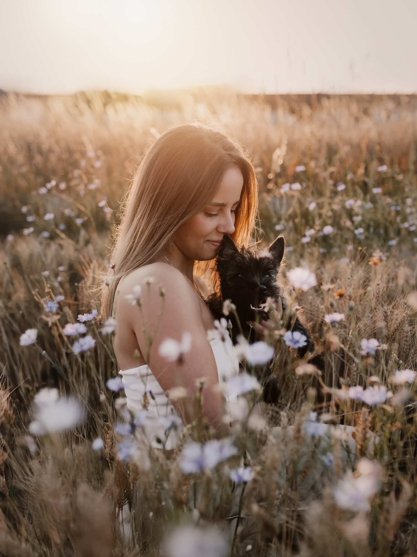 Soft hearts bloom where the wildflowers grow 🪻🤍

#hundeliebe #puppy #puppylove #tierfotografie #hundefotografie #goldenhour #sundowner #chasinglight #dogphotography