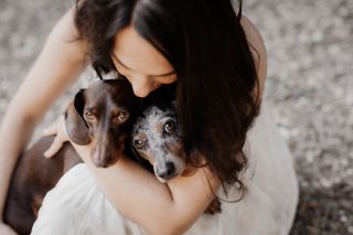 Some souls don’t just walk beside us—they become a part of our heart forever 🤍 

 #dackelliebe #hundeglück #tierfotografie