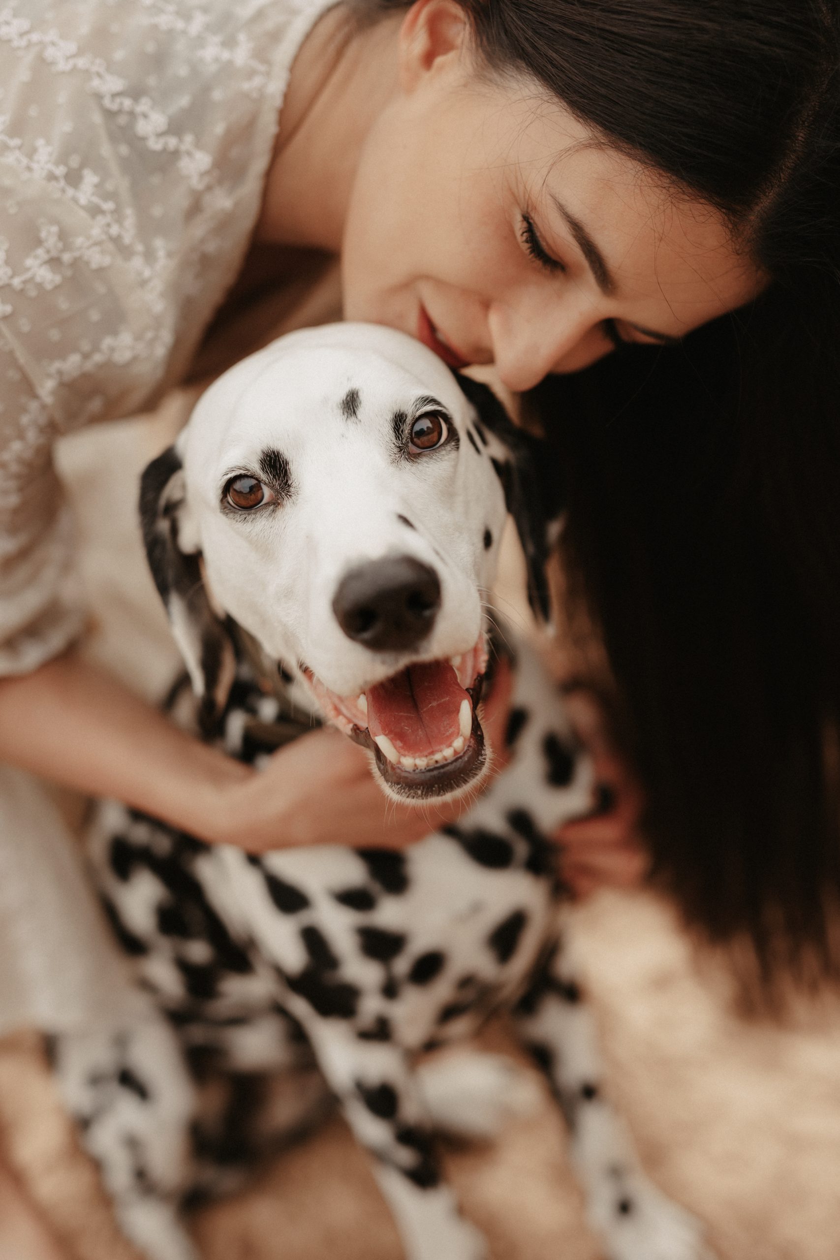 Hundefotografie